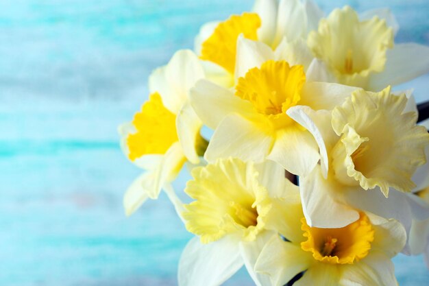 Verse narcissen bloemen close-up