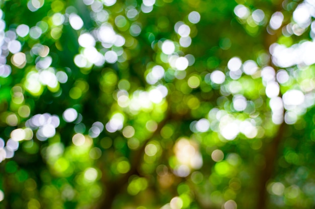 Foto verse natuur groene wazig en bokeh achtergrond.