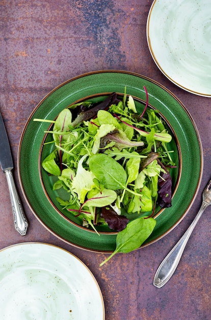 Verse natuurlijke groene salade