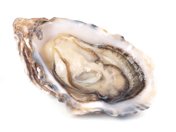 Verse oester