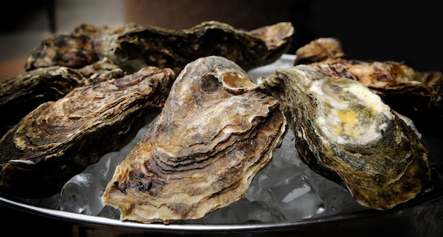 Verse oesters close-up op een markt.