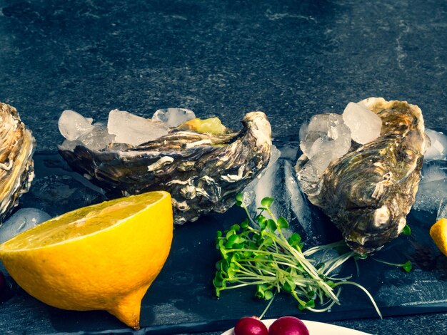 Verse oesters in steenleisteen met ijs veenbessen citroenschijfjes delicatessen duur voedsel rijk aan zink-antioxidanten vitamine