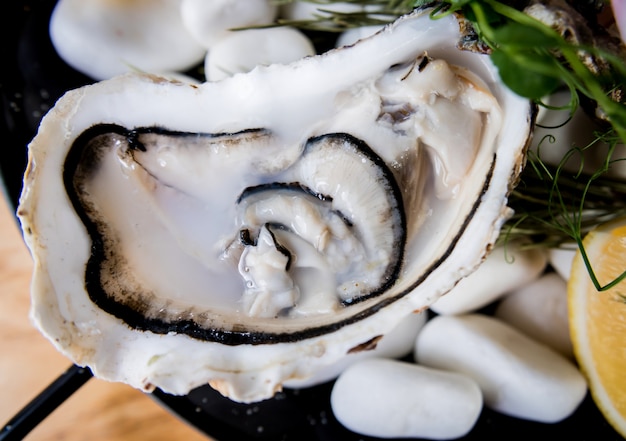 Verse oesters op een plaat met ijs en bloemen. Restaurant