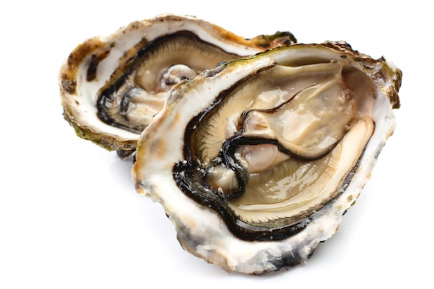 Verse oesters op een witte