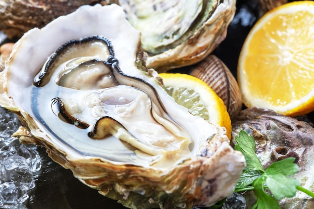 Verse oesters op ijs