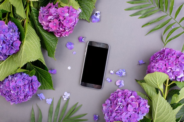 Verse paarse hortensia's met groene bladeren met slimme telefoon op grijze ondergrond