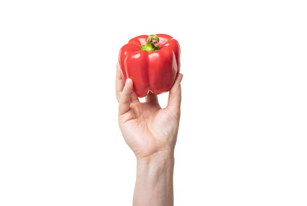 Verse paprika groente in de hand geïsoleerd op een witte achtergrond