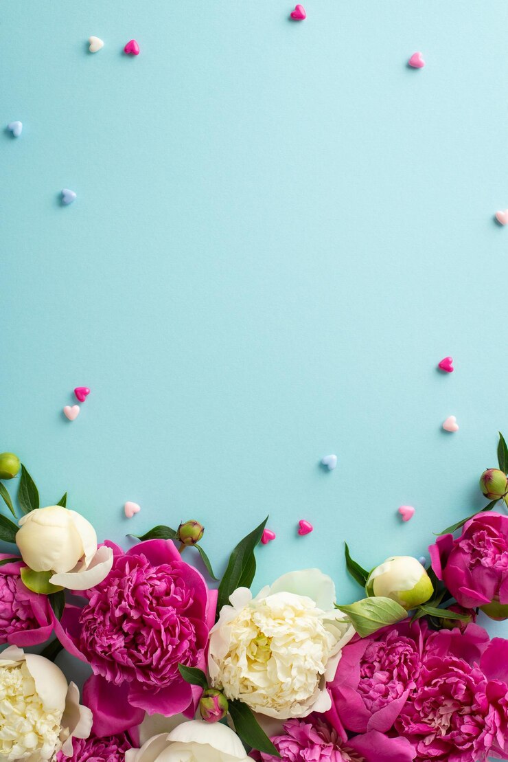 Verse pioenenbloemen concept Top view verticale foto van magenta en witte pioenen bloemen knoppen en bloemblaadjes met confetti harten op geïsoleerde lichtblauwe achtergrond met copyspace