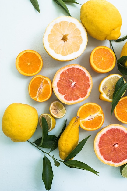 Verse plakjes van verschillende soorten citrus Sinaasappellimoen Grapefruit