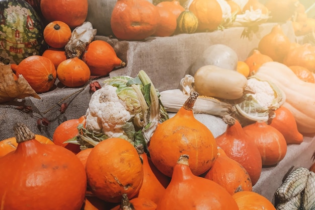 Verse pompoenen op de boerenmarkt op het platteland Oogst halloween en Thanksgiving-symbool