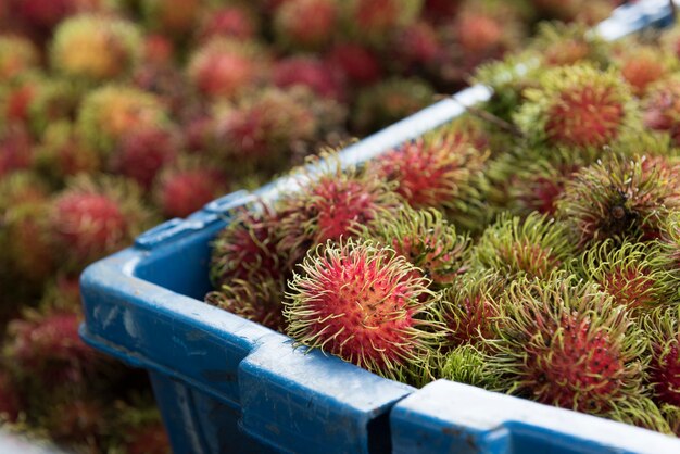 Verse ramboetan van de tuin tot marktplaats