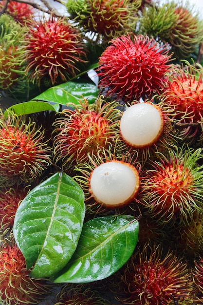 verse rambutan met groen blad.