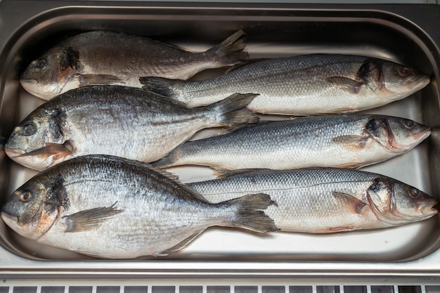 Verse rauwe dorado en zeebaars in de supermarkt