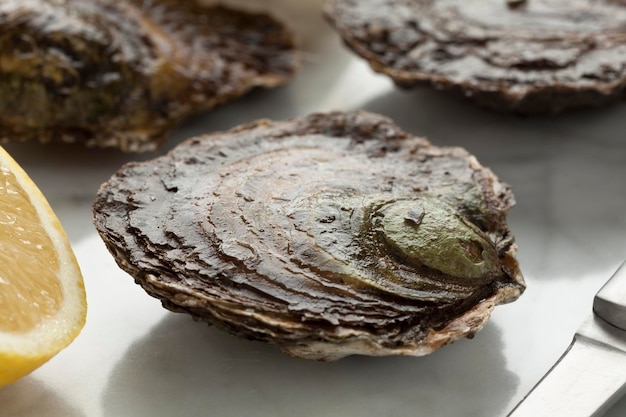 Foto verse rauwe gesloten europese platte oester close-up