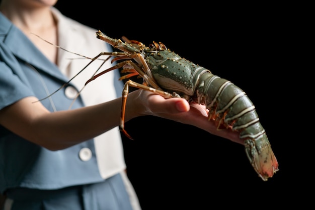 Foto verse rauwe kreeft in de handen van de vrouw langoest