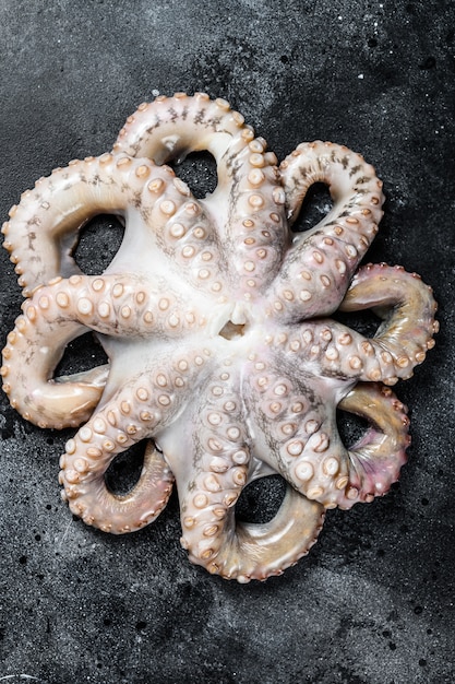 Verse rauwe octopus, biologische zeevruchten. Bovenaanzicht