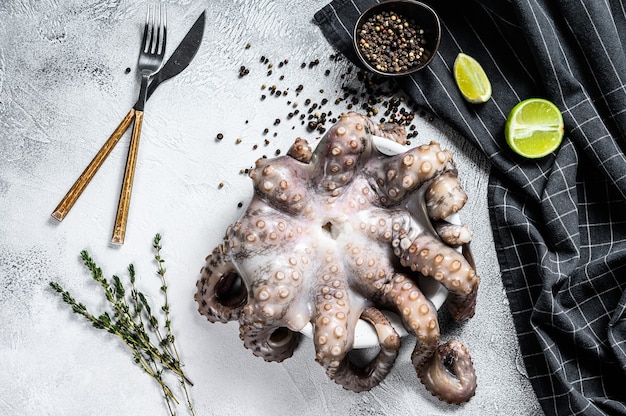 Verse rauwe octopus op een tafel