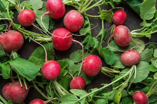 Verse rauwe rijpe rode radijs met groene bladeren verspreid