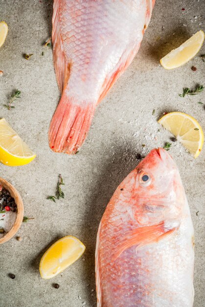 Verse rauwe tilapia vis met kruiden voor het koken