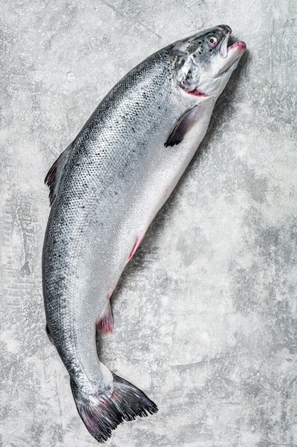 Verse rauwe zalm rode hele vis op keukentafel