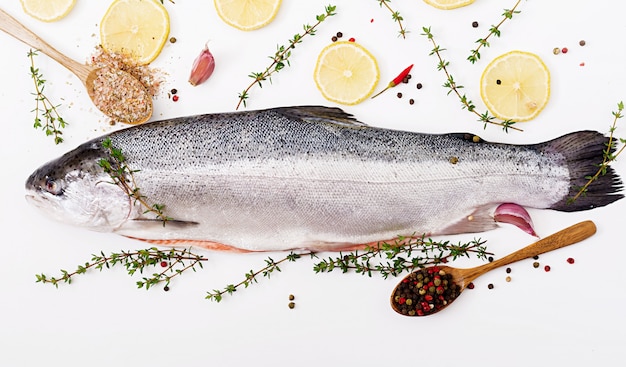 Verse rauwe zalm rode vis geïsoleerd op een witte tafel. Plat leggen. Bovenaanzicht