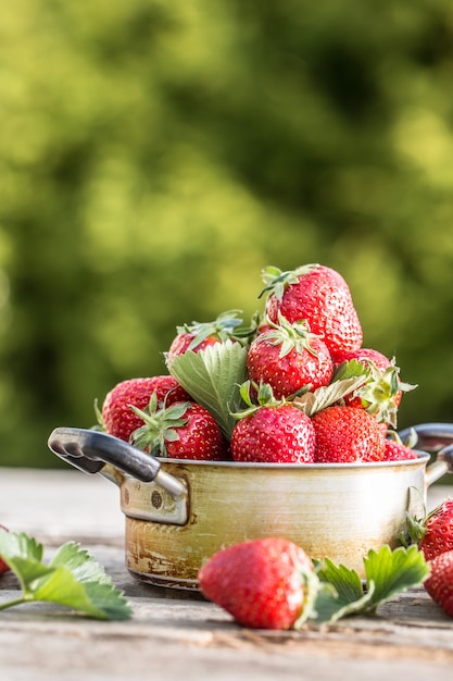 Verse rijpe aardbeien in vintage keukenpot op oude tuintafel.