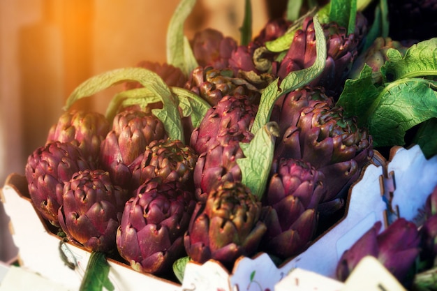 Verse rijpe artisjok in houten kist Biologische artisjok bloem