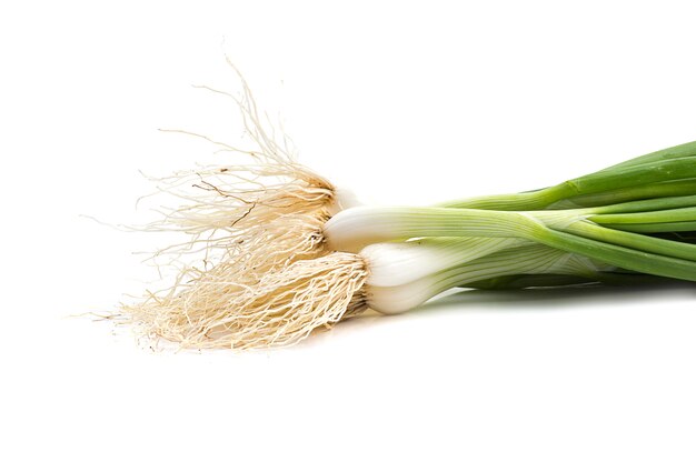 Verse rijpe groene lente-uitjes (sjalotten of lente-uitjes) op witte muur