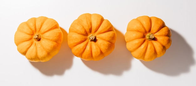 Verse rijpe oranje pompoenen op witte achtergrond. Ruimte voor tekst mockup Halloween concept