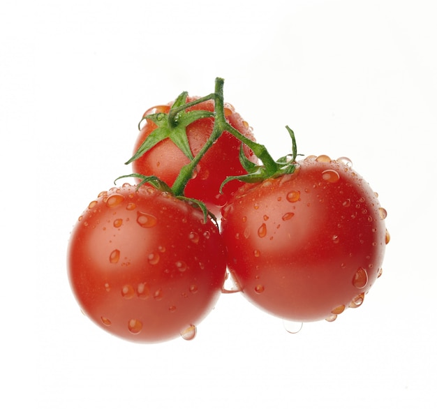 Verse rijpe rode tomaten op een wijnstok met waterdalingen die op wit worden geïsoleerd