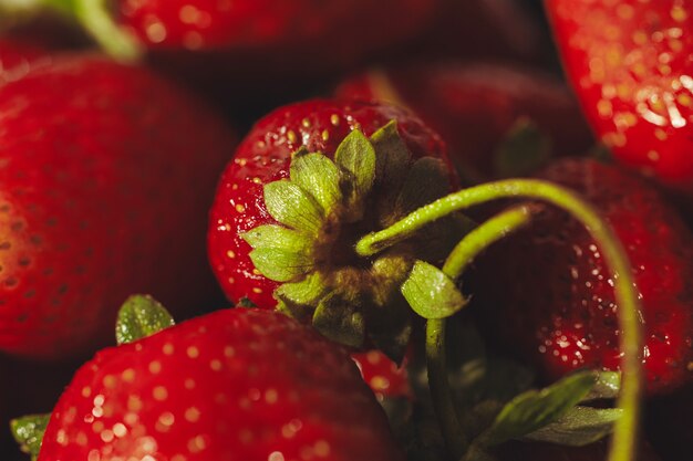 Verse rode aardbeien close-up