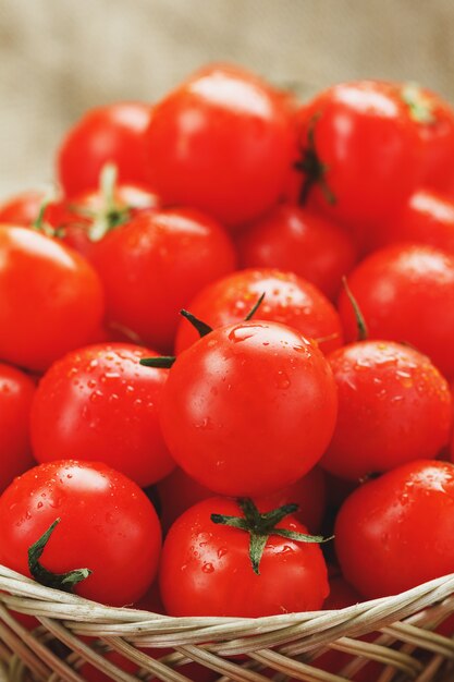 Verse rode tomaten in een rieten mand op een oude houten tafel. rijpe en sappige kerstomaten met druppels vocht, grijze houten tafel, rond een doek van jute. in een rustieke stijl.