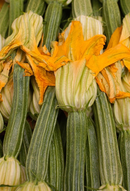 Verse Romaanse courgettes met bloemen tentoongesteld op een Italiaanse boerderij