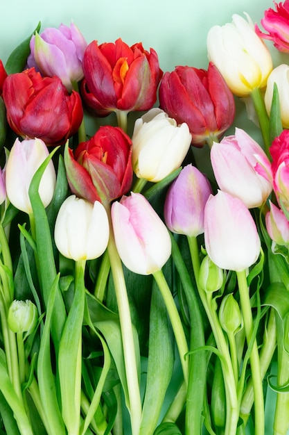 Verse roze en rode tulpen bloemen met groene bladeren en stengels
