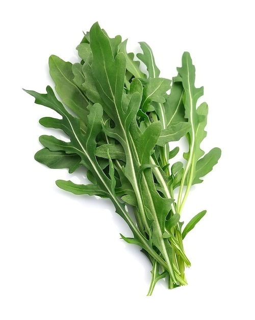 Verse rucola salade close-up.