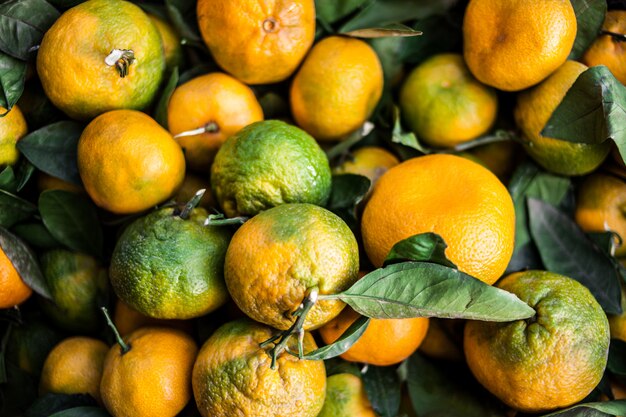 Verse, sappige smakelijke oranje mandarijnen met bladeren close-up
