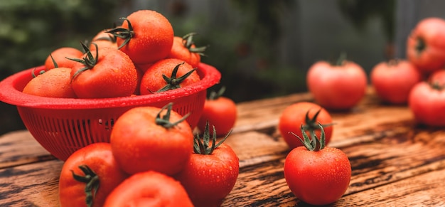 Verse, sappige tomaten bedekt met waterdruppels op een houten tafel