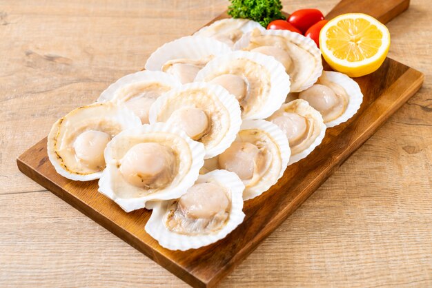 verse shell coquille