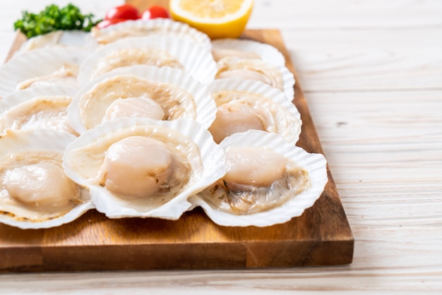 verse shell coquille