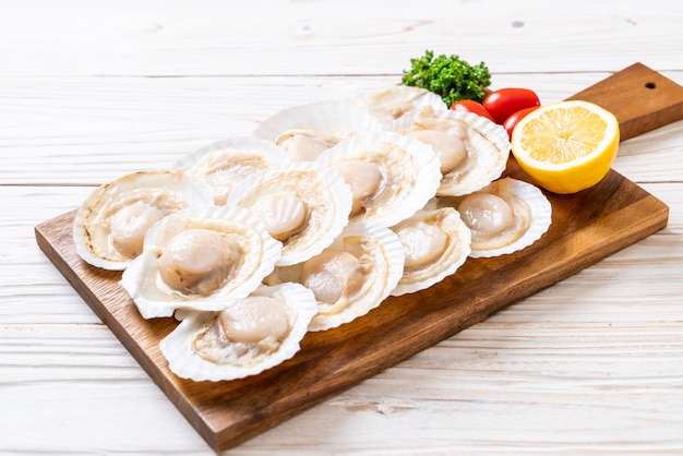verse shell coquille
