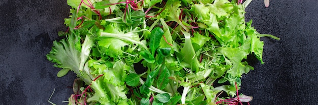 verse slablaadjes mix micro greens keto of paleo