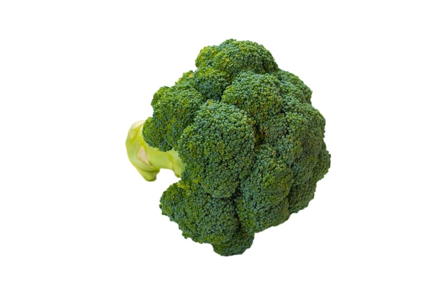 Verse smakelijke broccoli geïsoleerd op wit