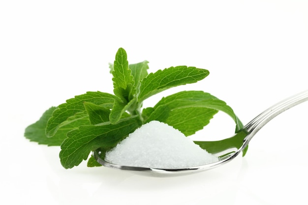 Foto verse stevia rebaudiana en suiker in een lepel