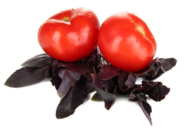 Foto verse tomaten en basilicumbladeren die op wit worden geïsoleerd