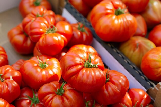 Verse tomaten in een doos op een markt