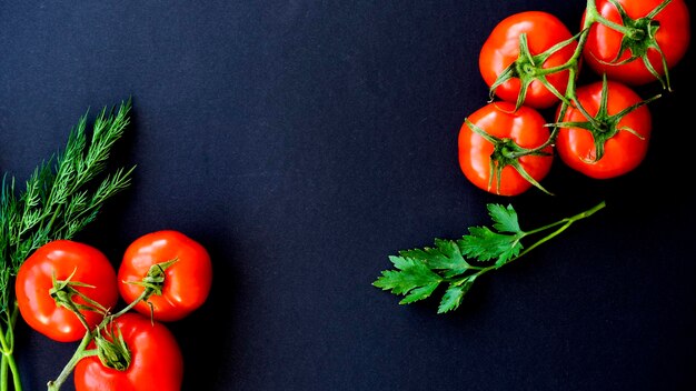 Verse tomaten op een tak op een zwarte achtergrond