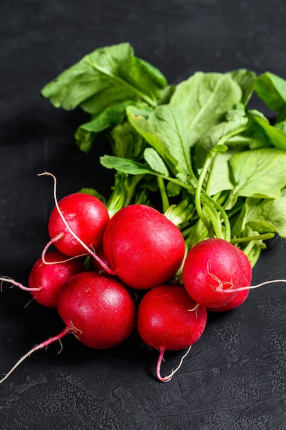 Verse tuinradijs. Farm biologische groenten. Zwarte achtergrond. Bovenaanzicht