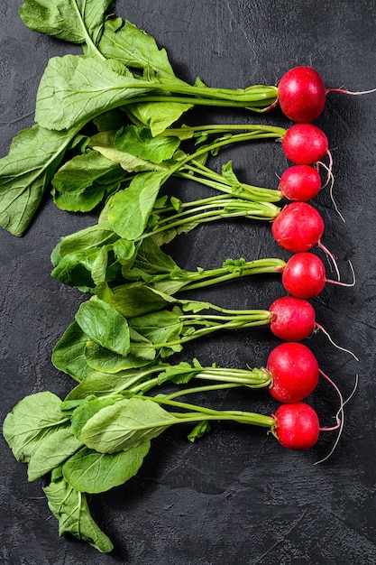 Verse tuinradijs. Farm biologische groenten. Zwarte achtergrond. Bovenaanzicht