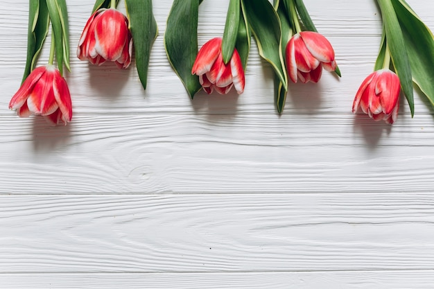 Verse tulpen op een witte houten achtergrond. Moedersdag concept, bovenaanzicht.