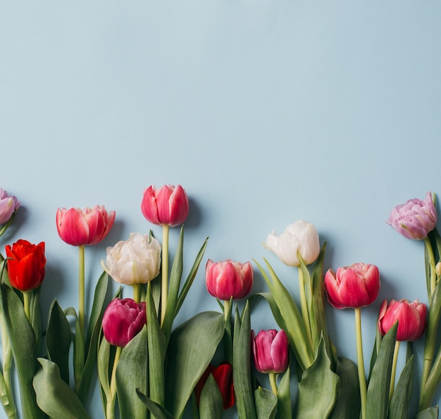 Verse tulpen op een witte tafel